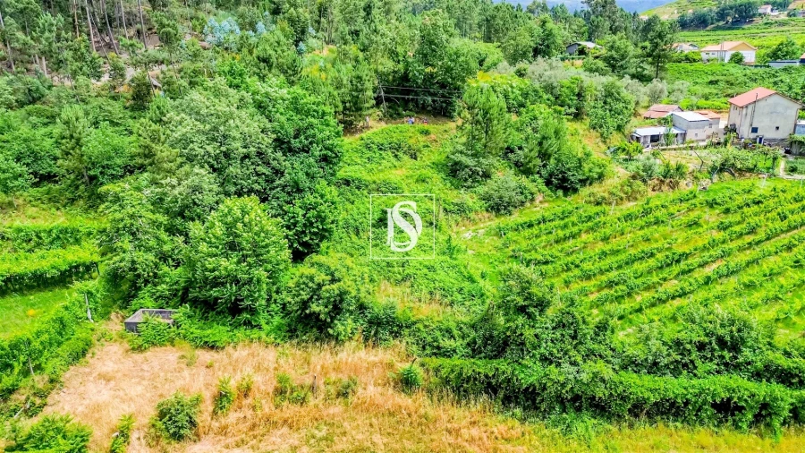 Terreno Agricola ou Rústico para Venda em Salvador do Monte Foto 9