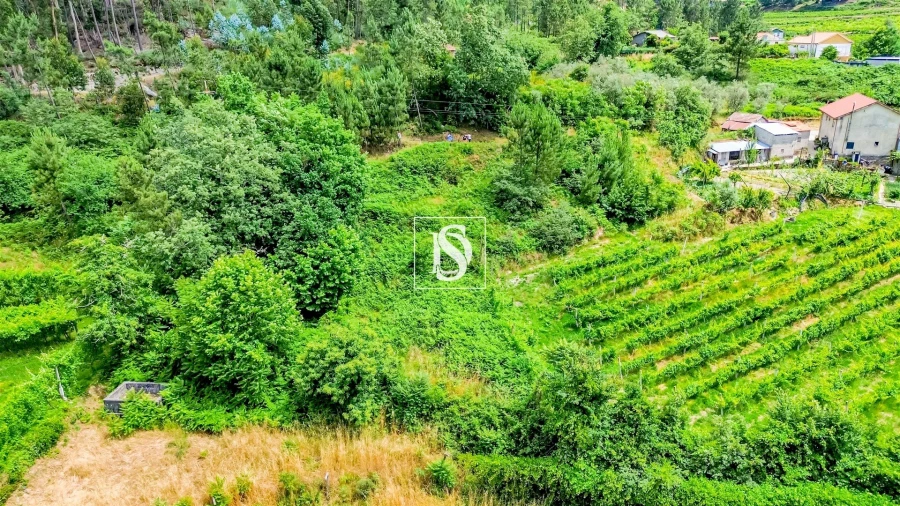 Terreno Agricola ou Rústico para Venda em Salvador do Monte Foto 2