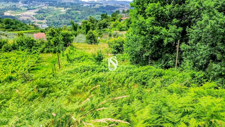 Terreno Agricola ou Rústico para Venda em Salvador do Monte Foto 13