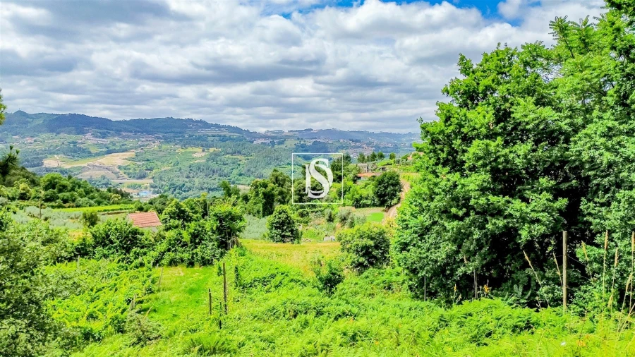 Terreno Agricola ou Rústico para Venda em Salvador do Monte Foto 5