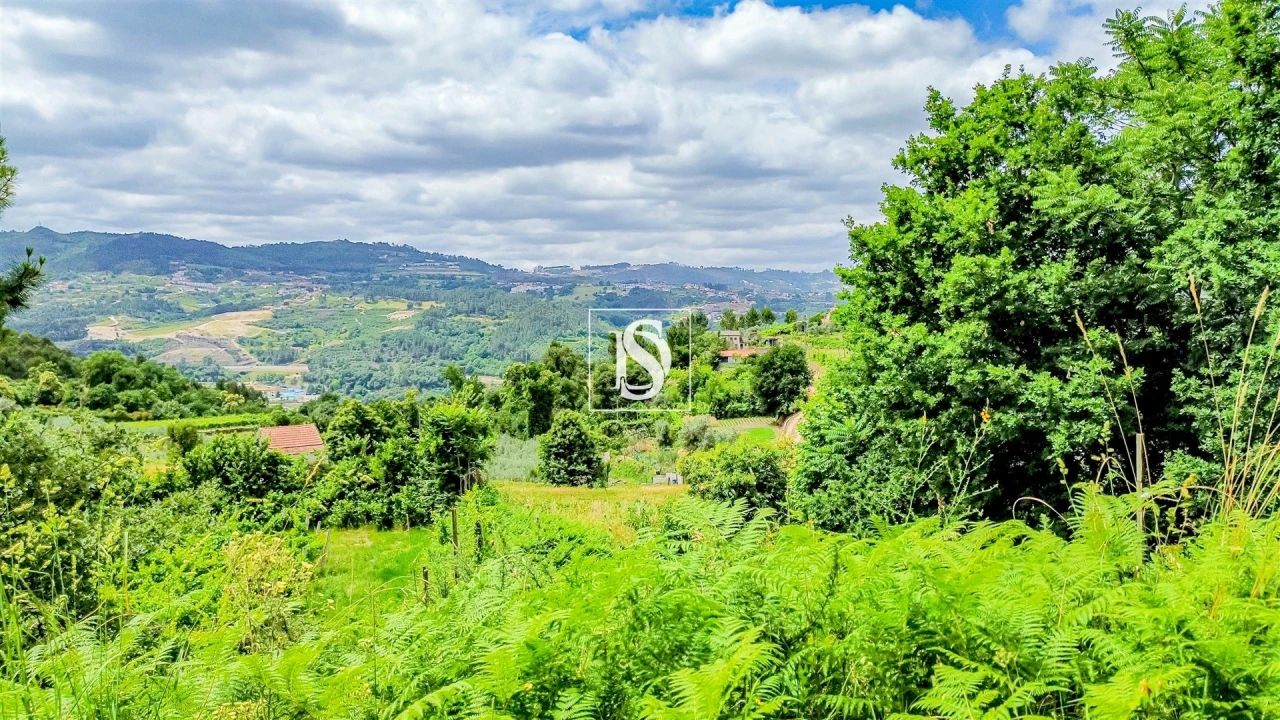 Terreno Agricola ou Rústico para Venda em Salvador do Monte Foto 11