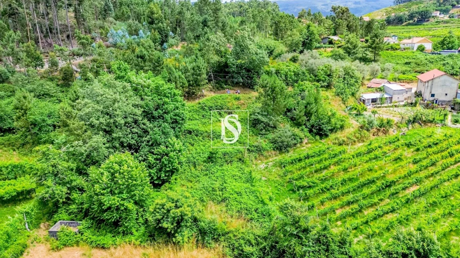 Terreno Agricola ou Rústico para Venda em Salvador do Monte