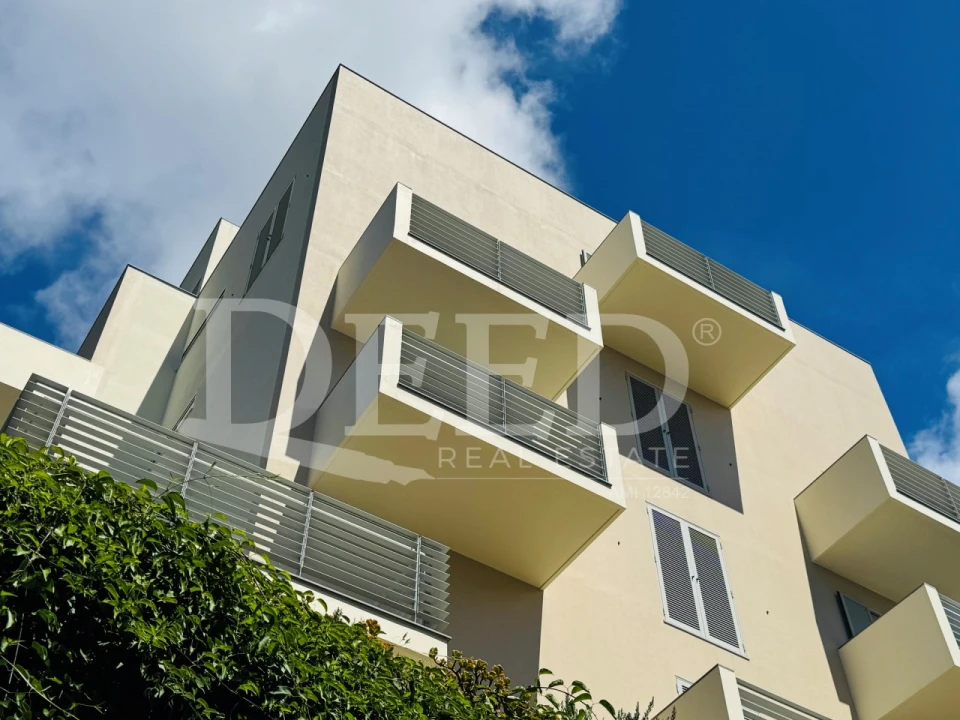 Apartamento T1 para Venda em São Martinho Foto 2