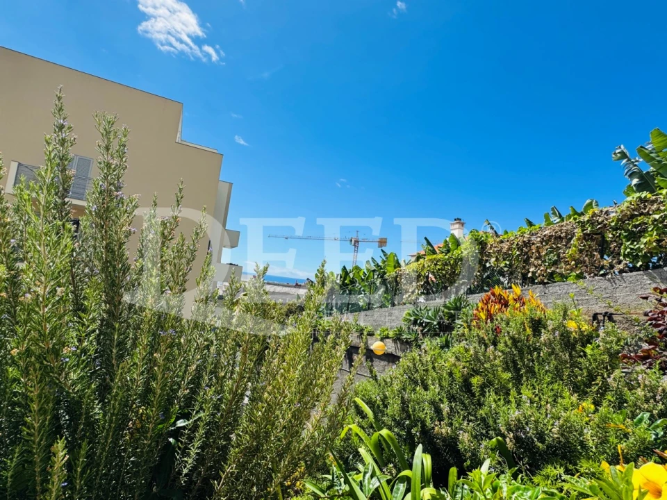 Apartamento T1 para Venda em São Martinho Foto 39