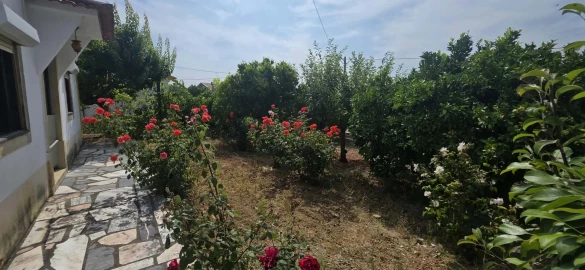 Moradia T3 para Venda em São João Baptista e Santa Maria dos Olivais
