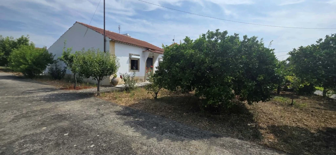 Moradia T3 para Venda em São João Baptista e Santa Maria dos Olivais Foto 4