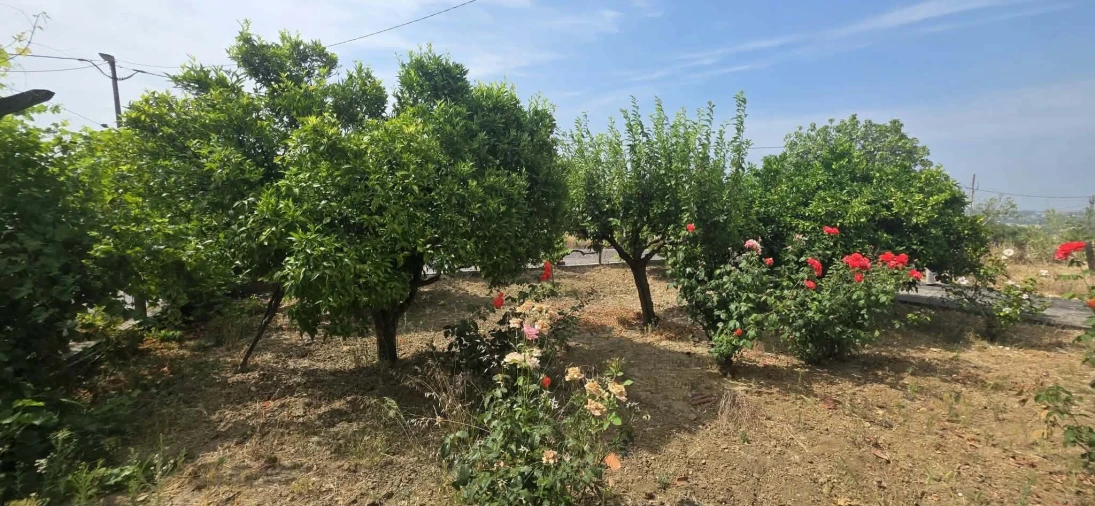 Moradia T3 para Venda em São João Baptista e Santa Maria dos Olivais Foto 10