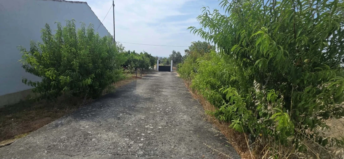 Moradia T3 para Venda em São João Baptista e Santa Maria dos Olivais Foto 8