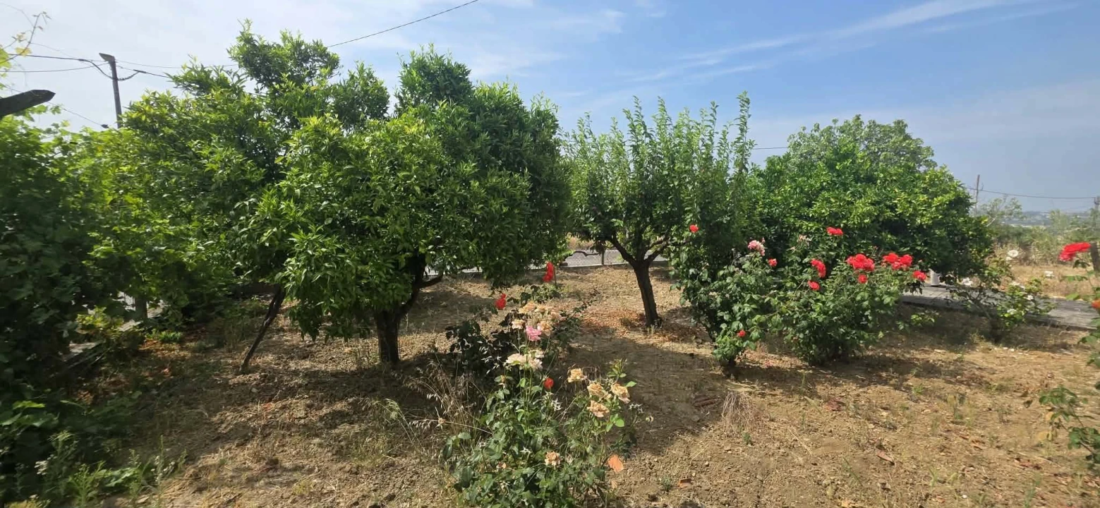 Moradia T3 para Venda em São João Baptista e Santa Maria dos Olivais Foto 10