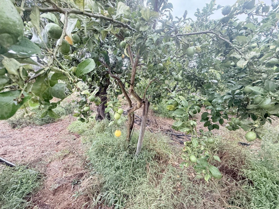 Moradia T3 para Venda em Gambia-Pontes-Alto da Guerra Foto 5
