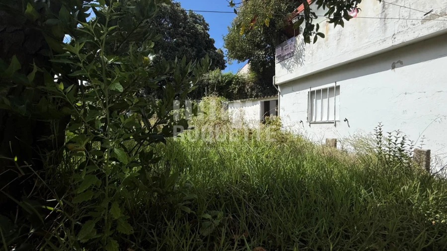 Moradia T4 para Venda em Aldoar, Foz do Douro e Nevogilde Foto 6