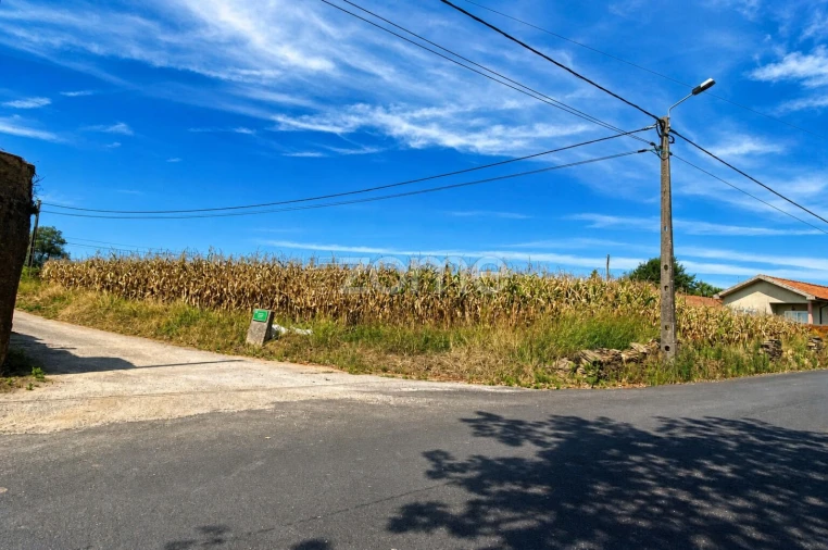Terreno para Venda em O. Azeméis, Riba-Ul, Ul, Macinhata Seixa, Madail Foto 3