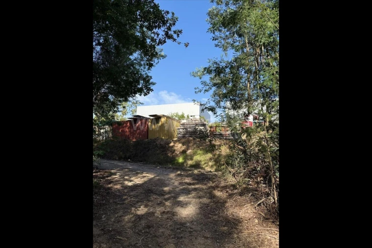 Terreno para Venda em Rocas do Vouga Foto 2