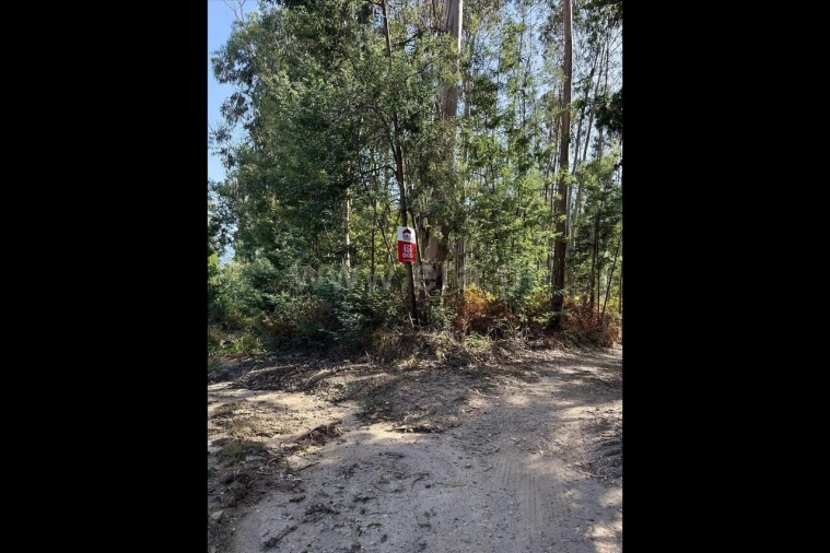 Terreno para Venda em Rocas do Vouga Foto 3