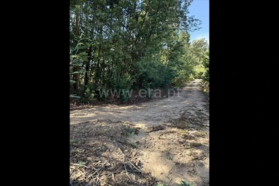 Terreno para Venda em Rocas do Vouga