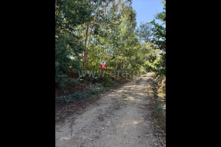 Terreno para Venda em Rocas do Vouga Foto 5