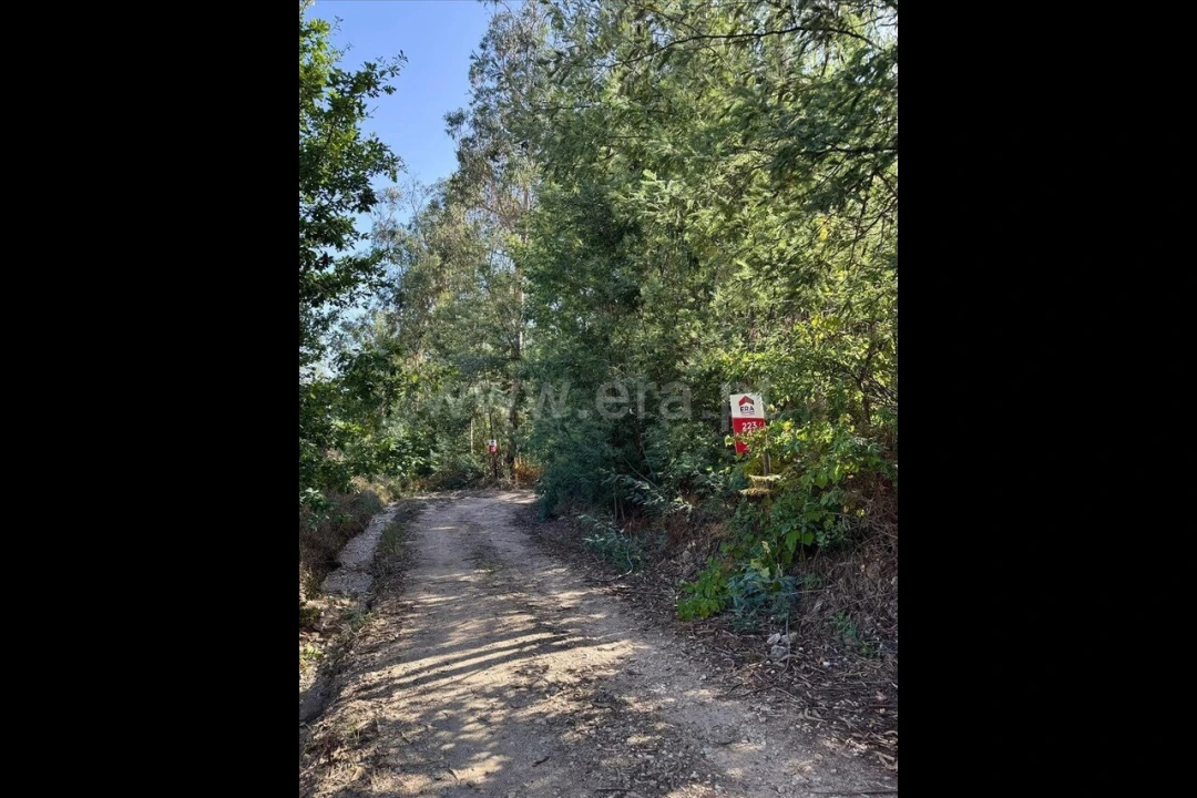 Terreno para Venda em Rocas do Vouga Foto 4