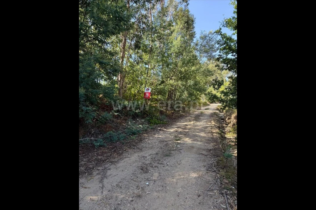 Terreno para Venda em Rocas do Vouga Foto 5