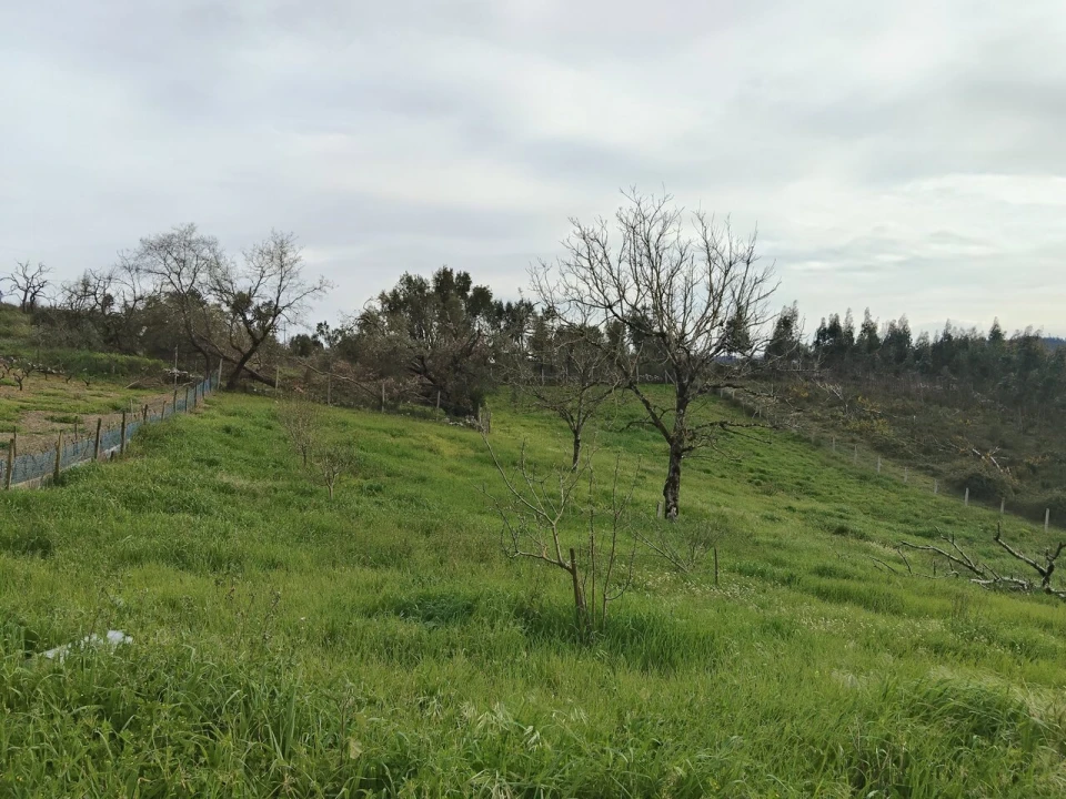 Moradia T2 para Venda em Abiul Foto 20