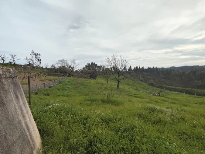 Moradia T2 para Venda em Abiul Foto 19