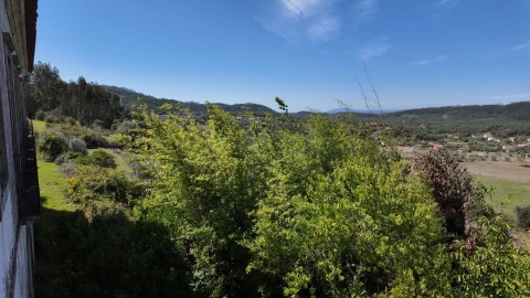 Quinta T18 para Venda em Ferreira do Zezere