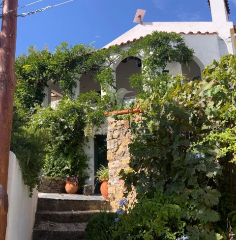 Quinta T5 para Venda em São Salvador da Aramenha