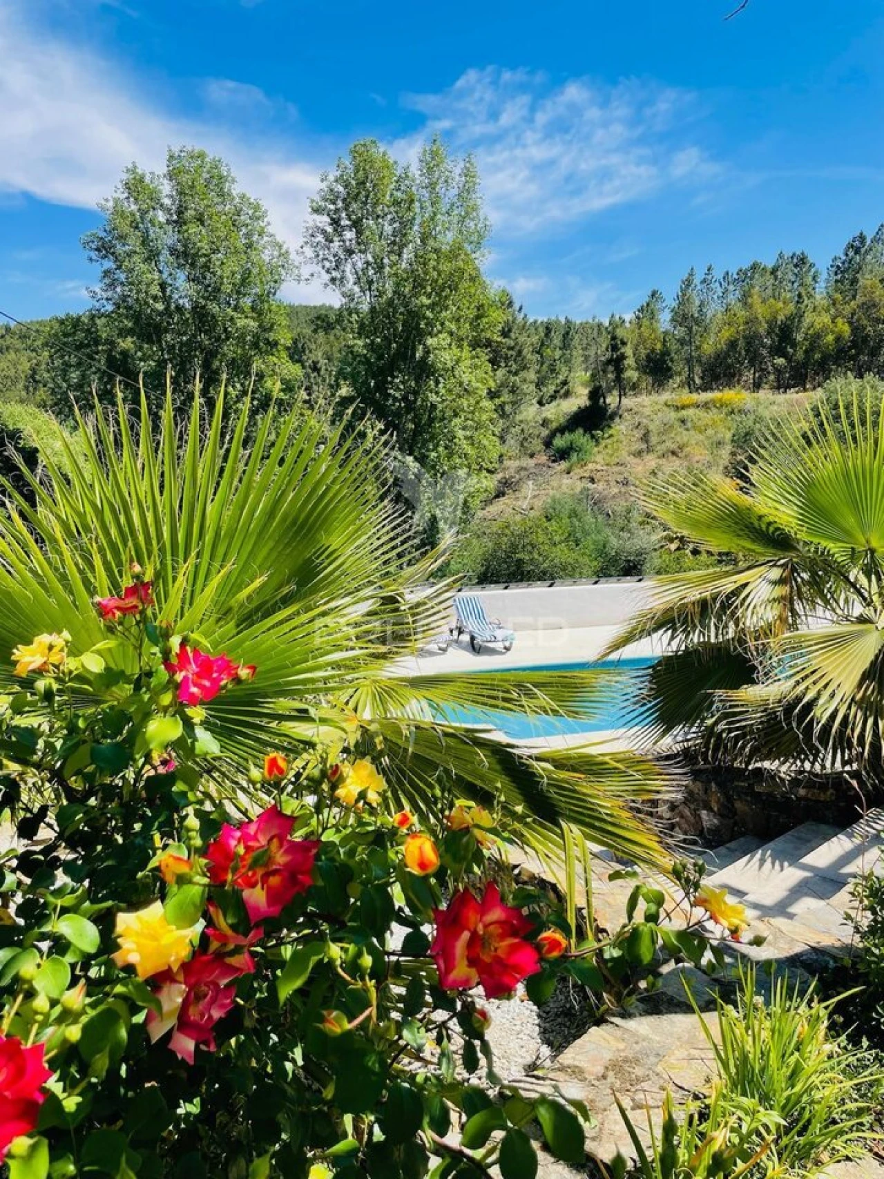 Quinta T5 para Venda em São Salvador da Aramenha Foto 5
