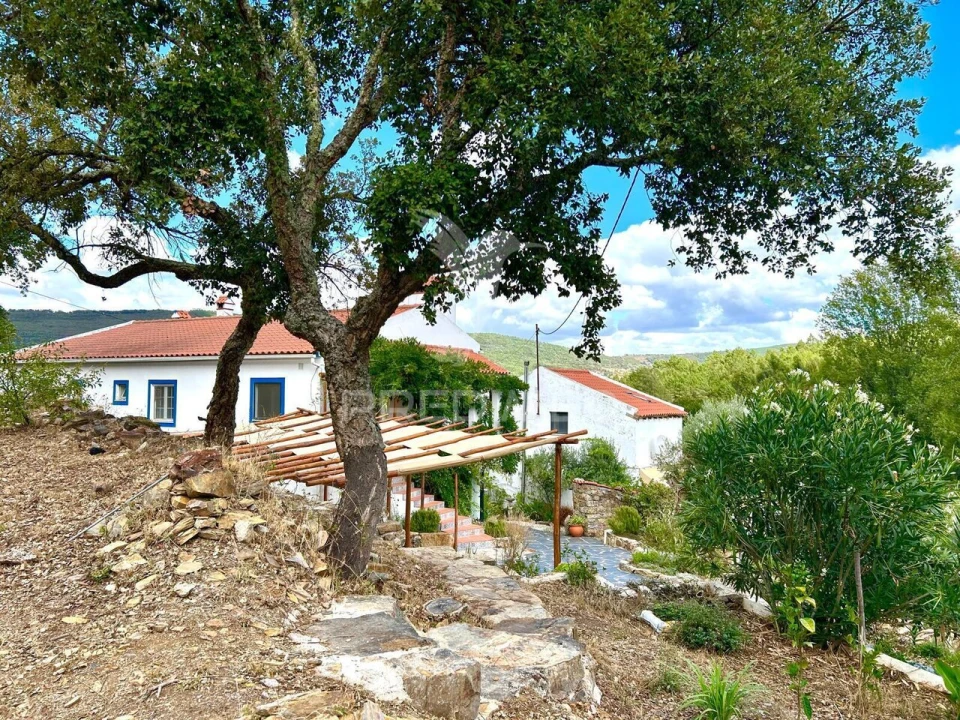 Quinta T5 para Venda em São Salvador da Aramenha Foto 38
