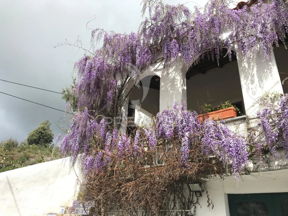 Quinta T5 para Venda em São Salvador da Aramenha Foto 2