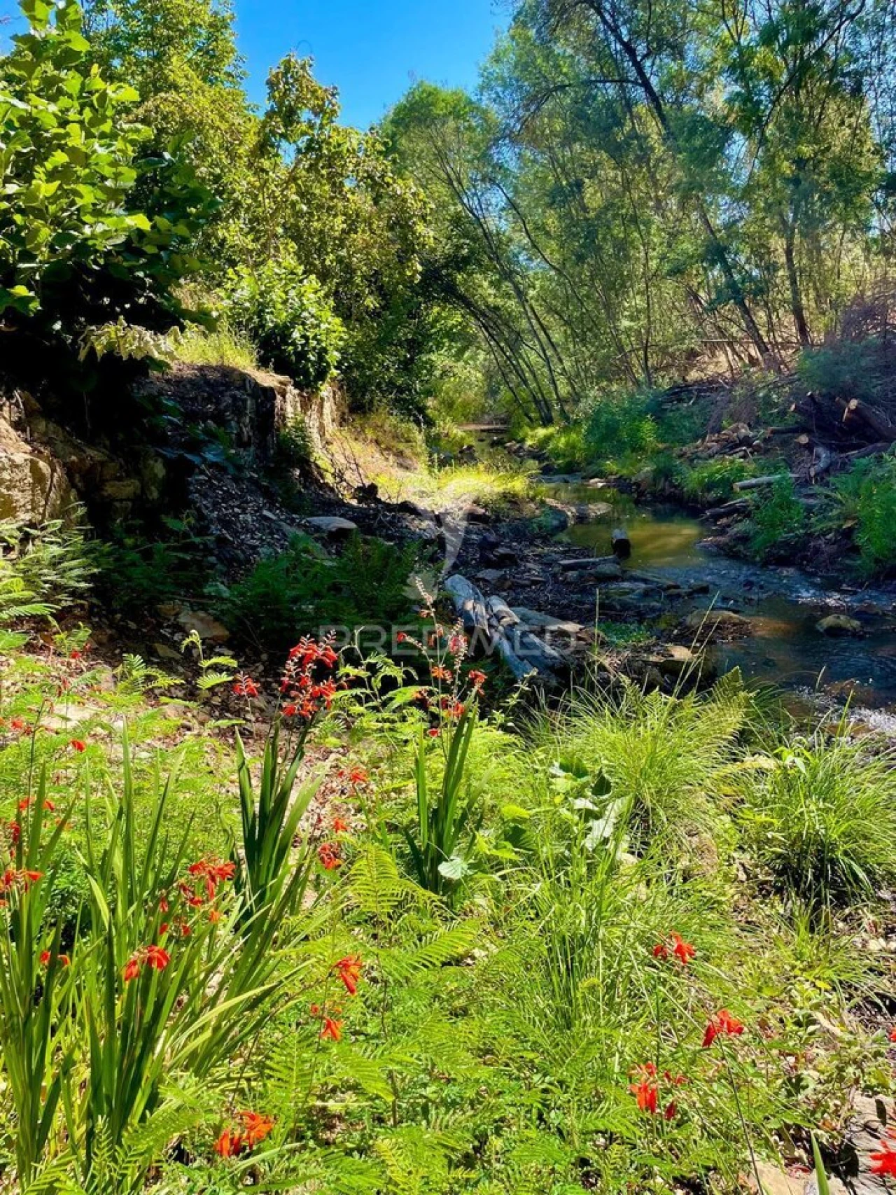 Quinta T5 para Venda em São Salvador da Aramenha Foto 3