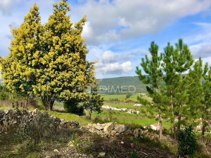 Quinta T5 para Venda em São Salvador da Aramenha Foto 7