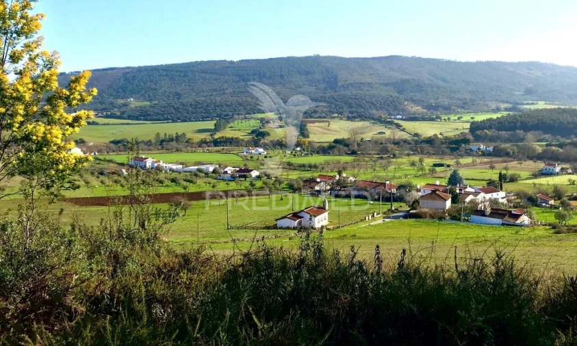 Quinta T5 para Venda em São Salvador da Aramenha Foto 10