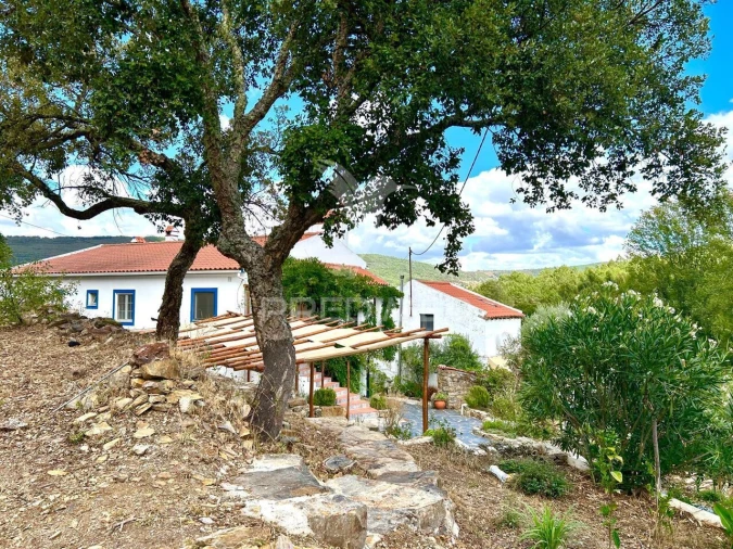 Quinta T5 para Venda em São Salvador da Aramenha Foto 38