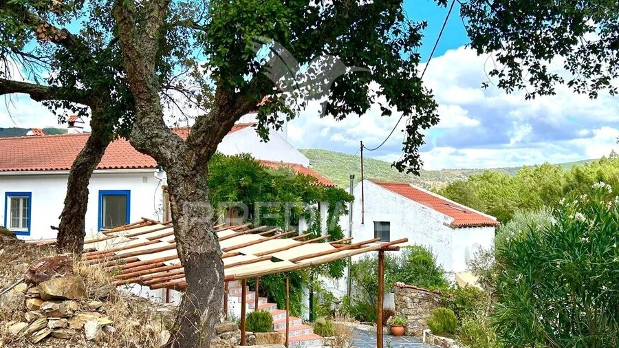 Quinta T5 para Venda em São Salvador da Aramenha