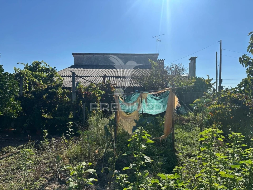 Moradia T4 para Venda em Marvila, Ribeira Santarém, São Salvador, São Nicolau Foto 30