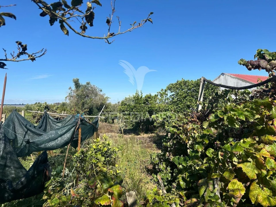 Moradia T4 para Venda em Marvila, Ribeira Santarém, São Salvador, São Nicolau Foto 31