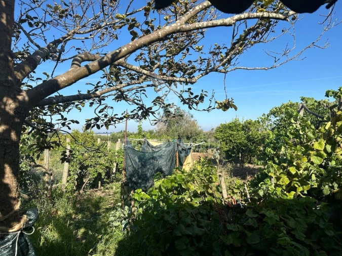 Moradia T4 para Venda em Marvila, Ribeira Santarém, São Salvador, São Nicolau Foto 27