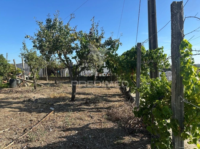Moradia T4 para Venda em Marvila, Ribeira Santarém, São Salvador, São Nicolau Foto 6