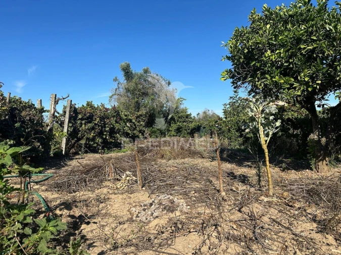 Moradia T4 para Venda em Marvila, Ribeira Santarém, São Salvador, São Nicolau Foto 33