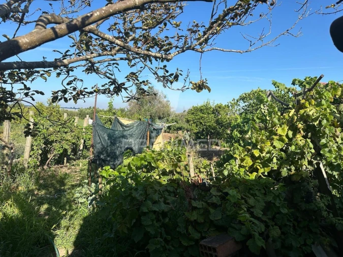 Moradia T4 para Venda em Marvila, Ribeira Santarém, São Salvador, São Nicolau Foto 23
