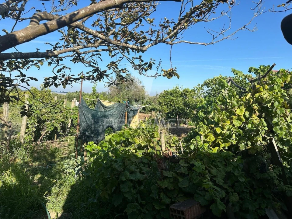 Moradia T4 para Venda em Marvila, Ribeira Santarém, São Salvador, São Nicolau Foto 23