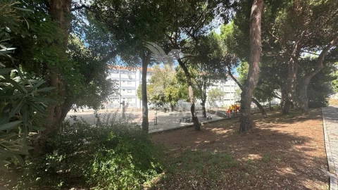Apartamento T2 para Venda em Olivais