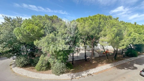 Apartamento T2 para Venda em Olivais