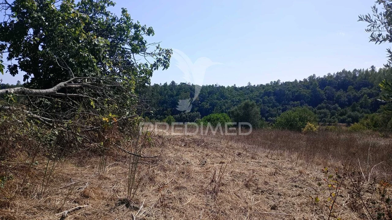 Moradia T0 para Venda em Romeira e Várzea Foto 3