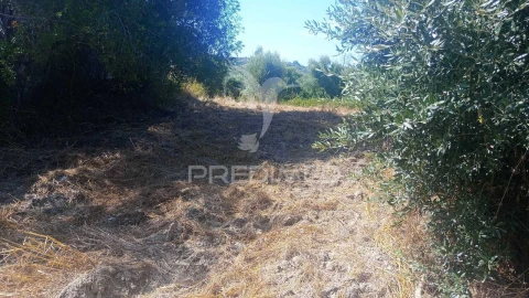Moradia T0 para Venda em Romeira e Várzea