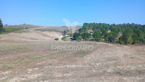 Moradia T0 para Venda em Romeira e Várzea