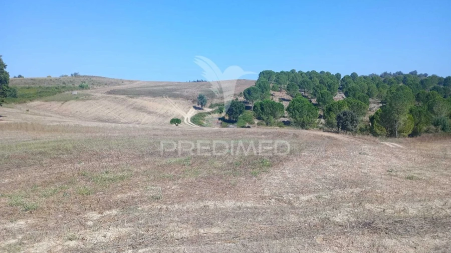 Moradia T0 para Venda em Romeira e Várzea Foto 12