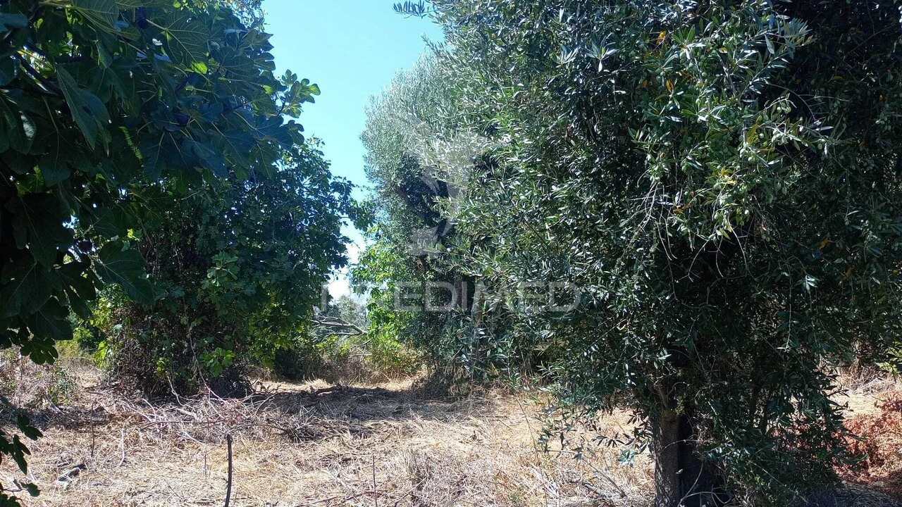 Moradia T0 para Venda em Romeira e Várzea Foto 9