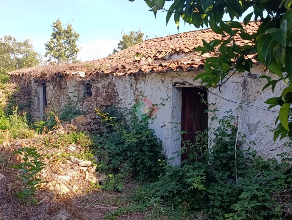 Moradia T0 para Venda em São Salvador da Aramenha Foto 1