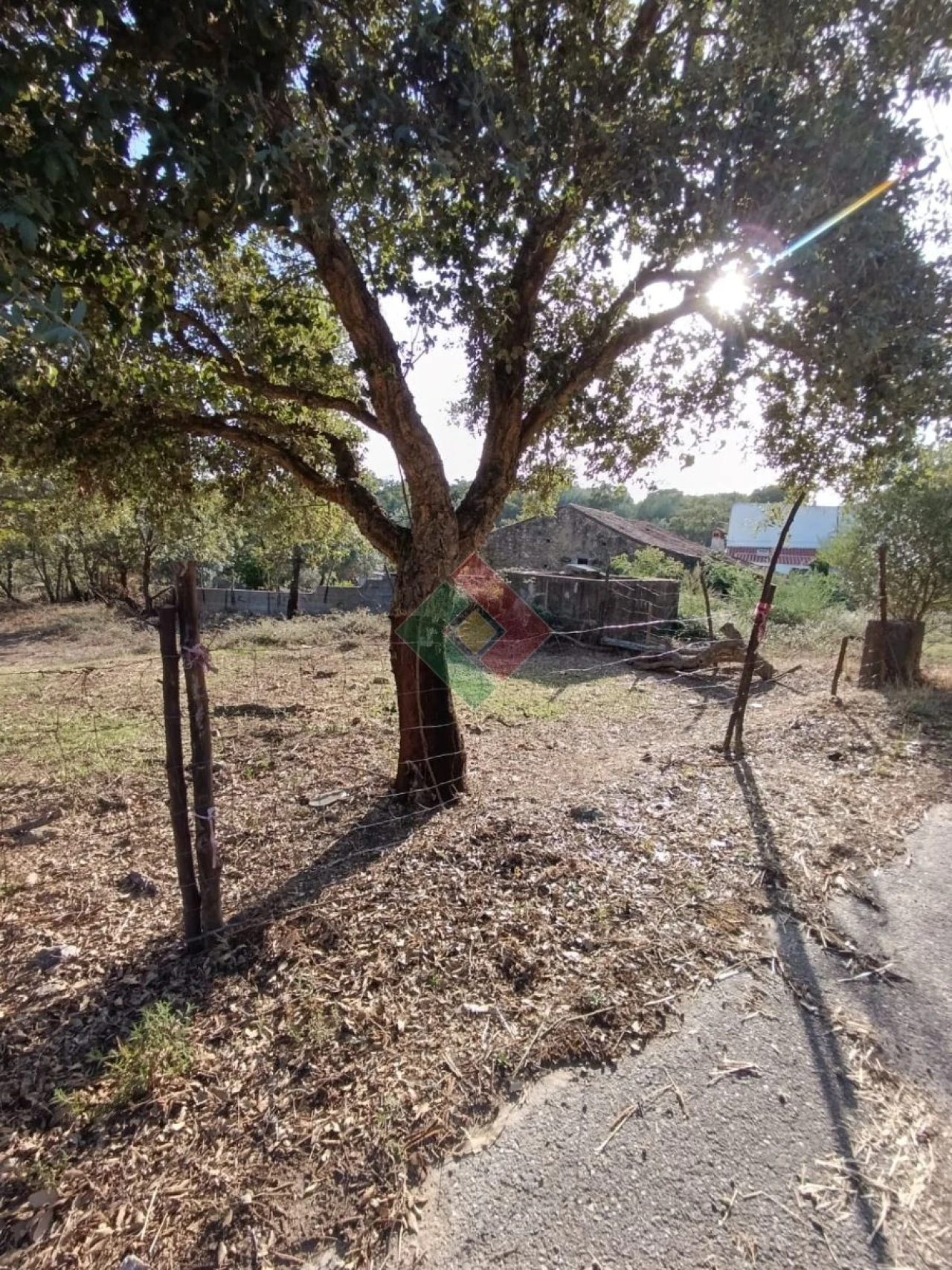 Moradia T0 para Venda em São Salvador da Aramenha Foto 12